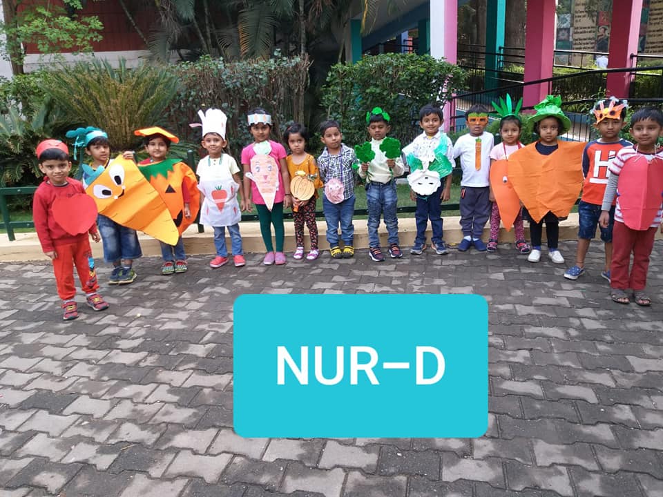 49070728_668805000181446_2879167898520125440_n