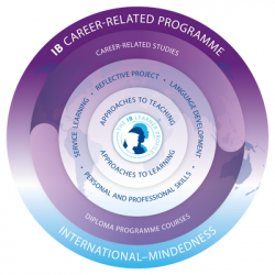 IB-Programme-400-x-400